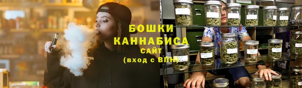 PSILOCYBIN Осташков