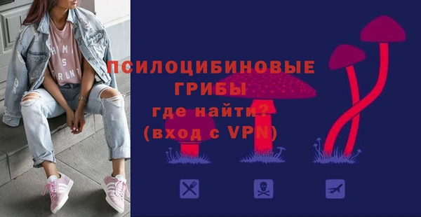 сатива Алексеевка