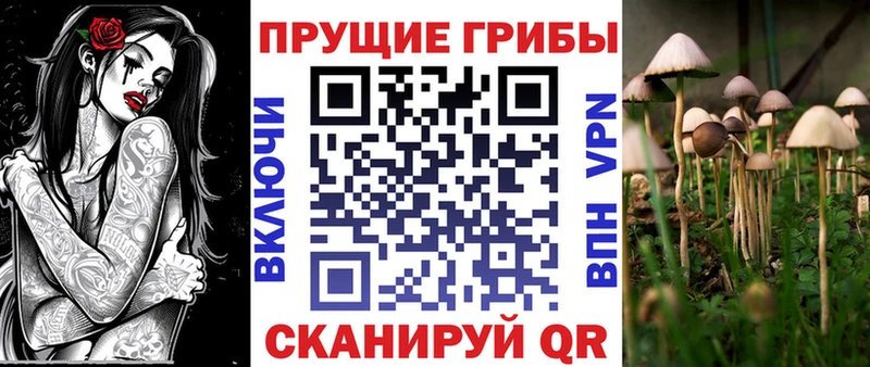 Псилоцибиновые грибы Psilocybine cubensis  Лермонтов 